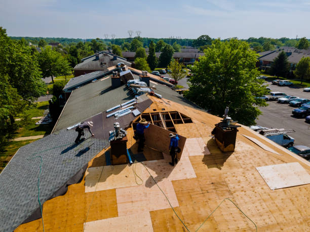 Trusted Roof Replacement service in Cheshire, OR - Brentwood Metal Roofing